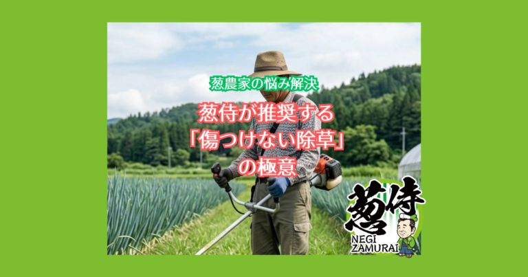 葱侍が推奨する「傷つけない除草」の極意