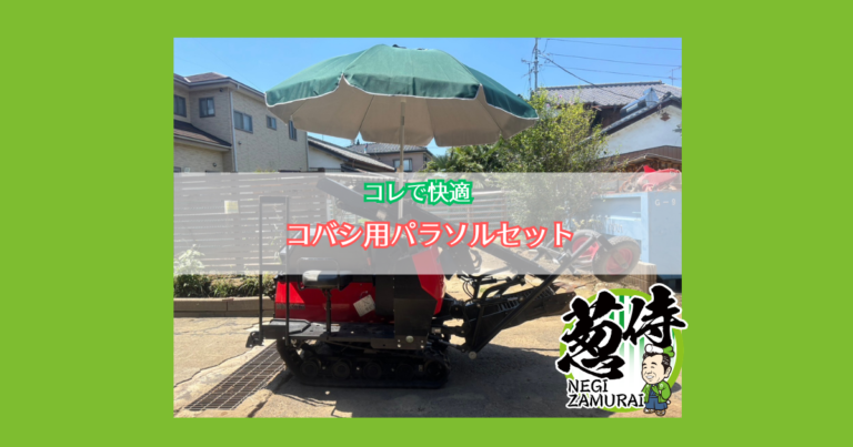コバシパラソルセット